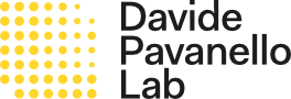 Davide Pavanello Lab